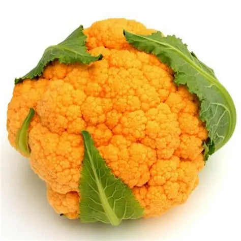 Cauliflower Orange Colour (Netherlands)🇳🇱 Approx